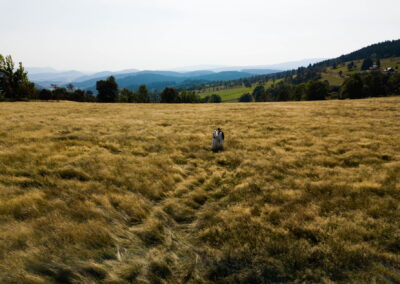 5 zdjecia slubne w gorach sesja z dronem leszno